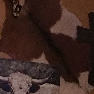 Meet your Posher, Debbie